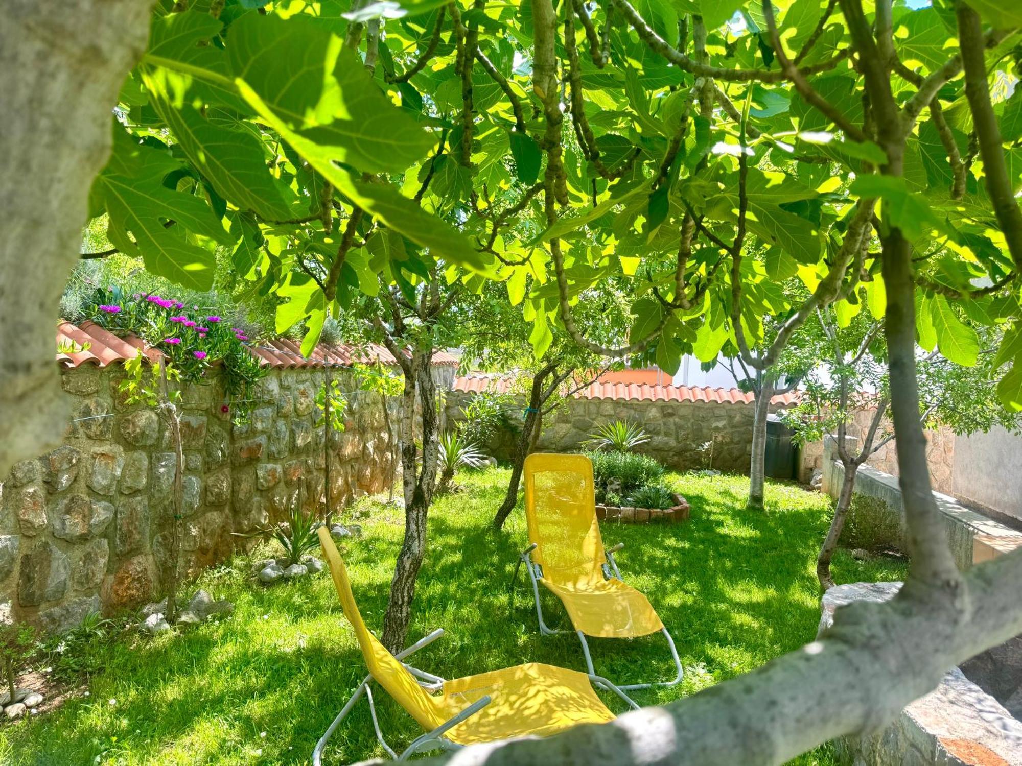 Apartments Maro Senj  Dış mekan fotoğraf