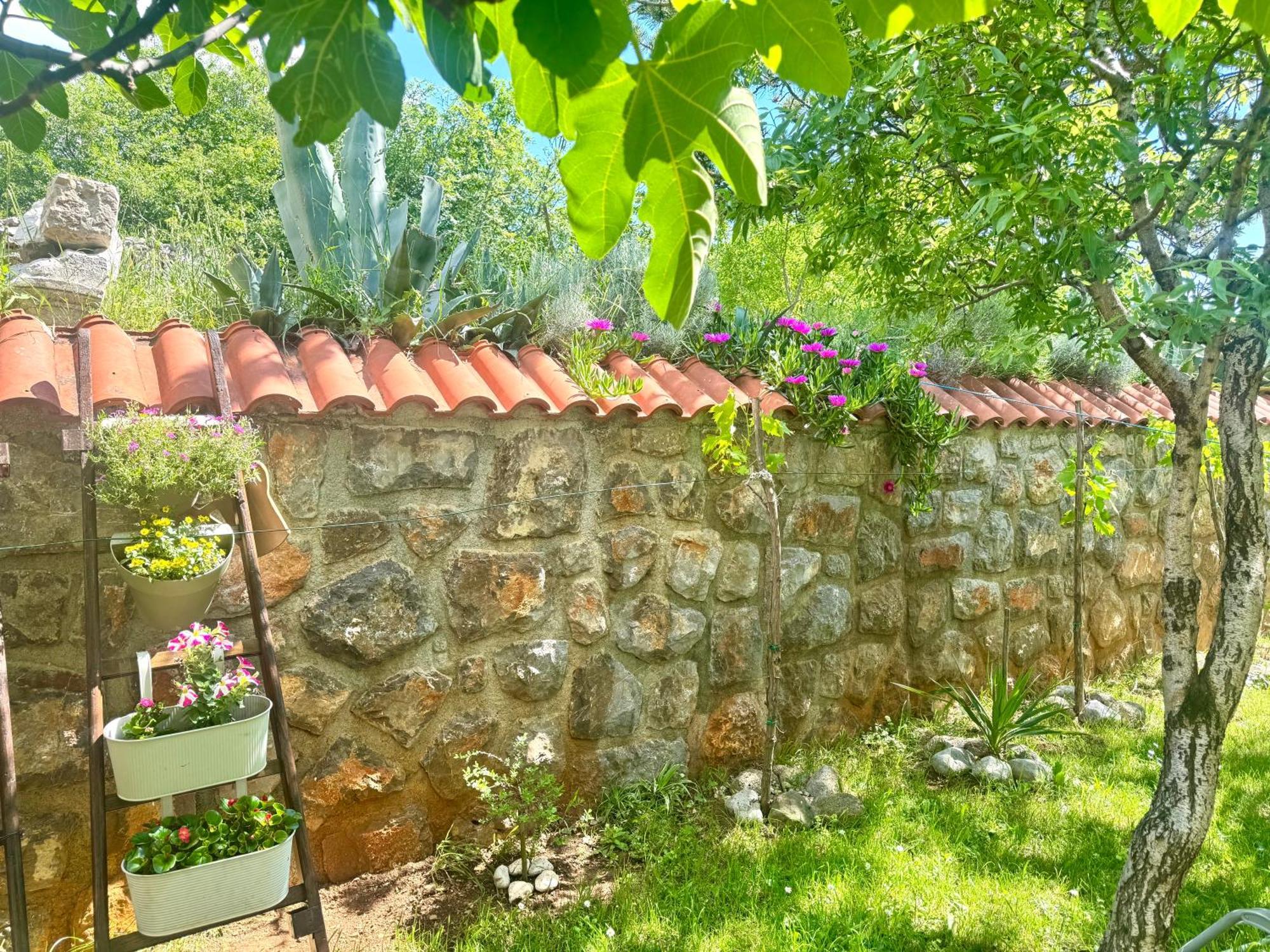 Apartments Maro Senj  Dış mekan fotoğraf